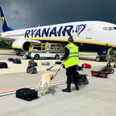 A Belarusian dog handler checks luggages off a Ryanair Boeing 737-8AS (flight number FR4978) parked on Minsk International Airport's apron in Minsk