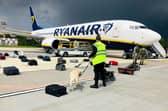 A Belarusian dog handler checks luggages off a Ryanair Boeing 737-8AS (flight number FR4978) parked on Minsk International Airport's apron in Minsk