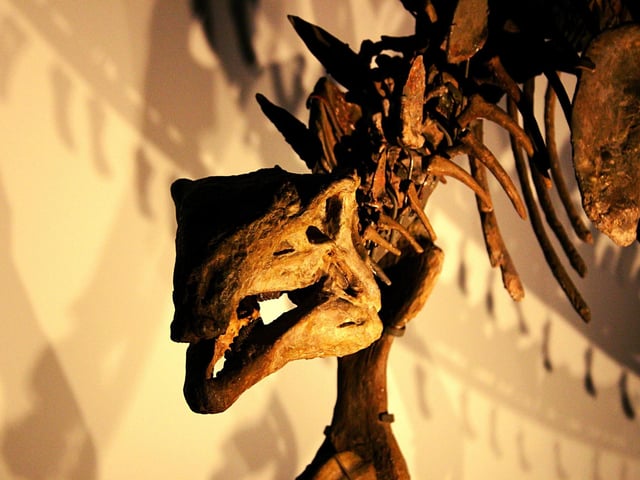 Young people love dinosaurs, it’s just the way it is. Even though dinosaurs have been extinct for millions of years, they’re still kept ‘alive’ in the hearts and minds of our little ones. So, if you fancy an encounter with a T-rex up-close and personal, then head to Dino Park near Dumfries to see replicas of the majestic beasts themselves (https://www.dinopark.co.uk/).