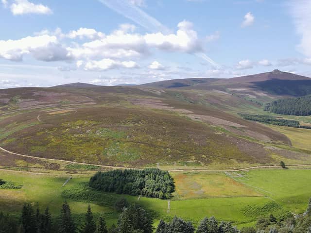 Par Equity and Aviva Investors have acquired 6,300 hectares of moorland in the Glen Dye area of west Aberdeenshire, with aims to restore 1,800 hecatares of peatland and plant 3,000 hectares of new trees - including native woodland and commercial conifer species
