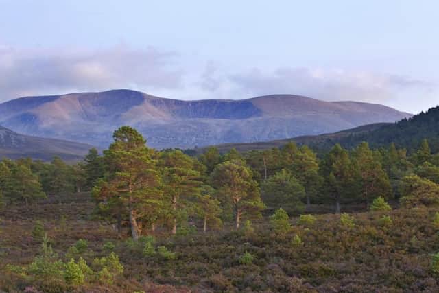 A new report has suggested Cairngorms National Park could achieve net zero within the next three years -- five years ahead of target -- if it delivers on recently approved partnership plans which include peatland restoration and woodland expansion