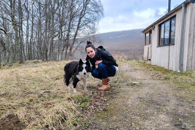 Laura Findlay, Solo Paws