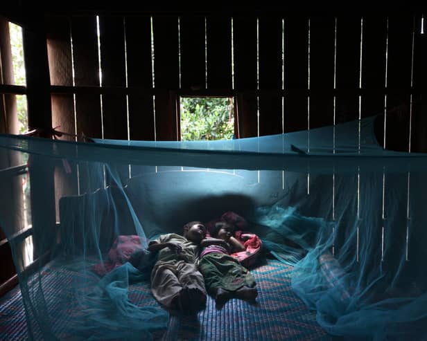 Mass distribution of insecticide-treated nets helped to dramatically cut the prevalence of malaria, but progress has faltered in recent years (Picture: Paula Bronstein/Getty Images)