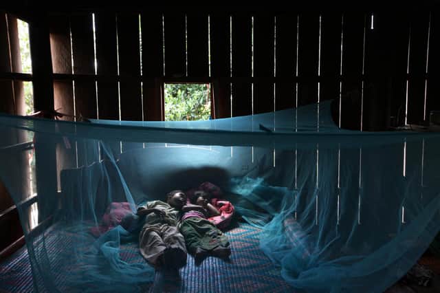 Mass distribution of insecticide-treated nets helped to dramatically cut the prevalence of malaria, but progress has faltered in recent years (Picture: Paula Bronstein/Getty Images)