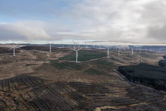 The new owner of 5,630 hectares of land up for sale in the Perthshire hills can expect income from commercial forestry and the lease of a 39-turbine section of the large Griffin wind farm