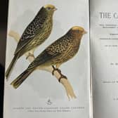 The Canary Book, by Robert L Wallace is beautifully illustrated. Picture: J Christie