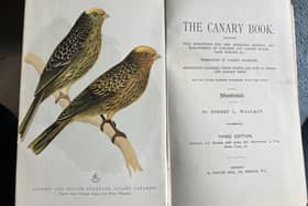 The Canary Book, by Robert L Wallace is beautifully illustrated. Picture: J Christie
