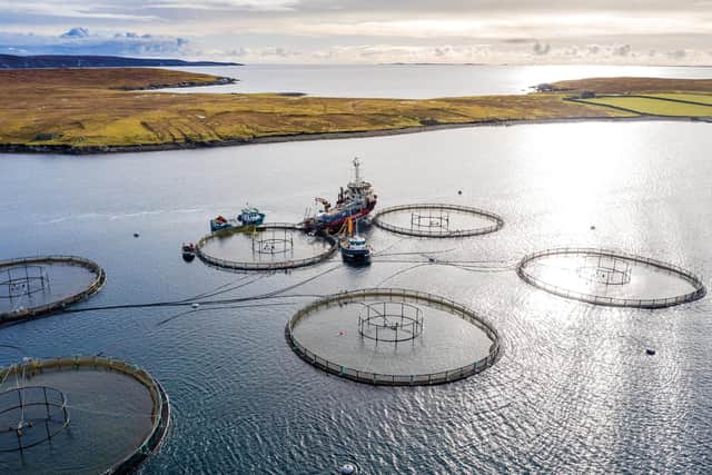 A project to develop a cost-efficient power management system for the aquaculture sector has secured six-figure investment.