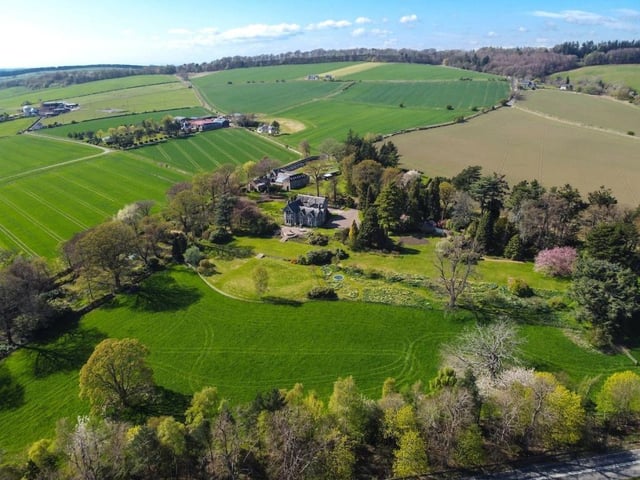 Aerial view of house and grounds.