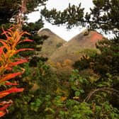 The Five Sisters, viewed from the new Shale Trail