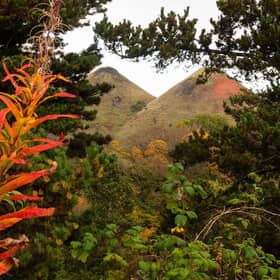 The Five Sisters, viewed from the new Shale Trail
