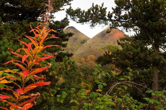 The Five Sisters, viewed from the new Shale Trail