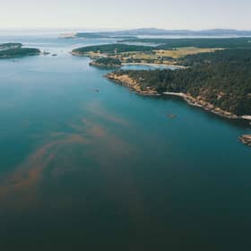 Harmful algae bloom is a phenomenon put down to climate change.