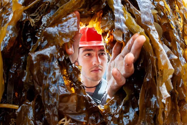 SAMS has also this week officially opened its new Seaweed Academy -- the UK’s first dedicated seaweed industry facility, offering advice to start-ups, training workers and sharing the latest research to help businesses develop. Picture: Euan Paterson/SAMS