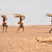 Women carrying firewood walk past a carcass of a cow in Loiyangalani, Kenya, amid this year's prolonged drought (Picture: Simon Maina/AFP via Getty Images)