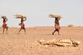 Women carrying firewood walk past a carcass of a cow in Loiyangalani, Kenya, amid this year's prolonged drought (Picture: Simon Maina/AFP via Getty Images)
