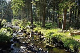 Sites like Maryculter Community Woods can help reduce the carbon footprint of local residents. (Photo: Justin Thomas)