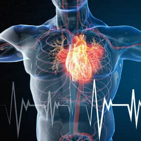 An estimated 500 potentially avoidable deaths take place in the UK each year among patients waiting for treatment for aortic stenosis