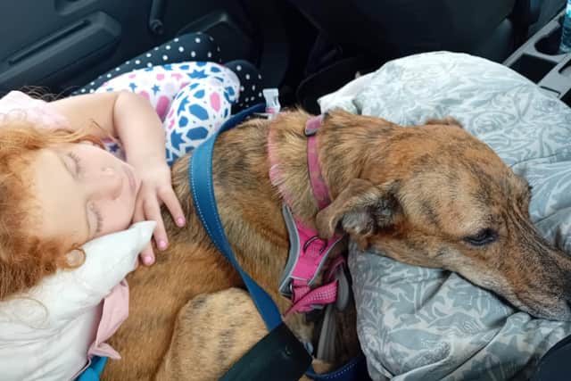 Little Salma with her pet dog - Louise Smith/ Animal News Agency