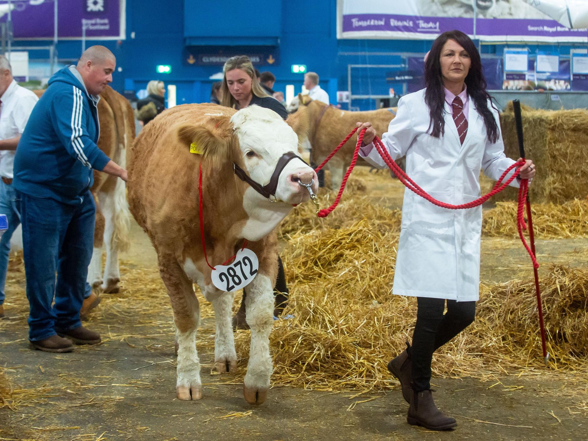 The Royal Highland Show Day 1