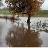 Picture via Angus Council showing the extent of the flooding. Some pump stations to remove surface water did not start automatically according to the council