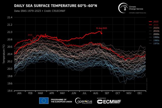 Global oceans have also been considerably warmer than usual this summer