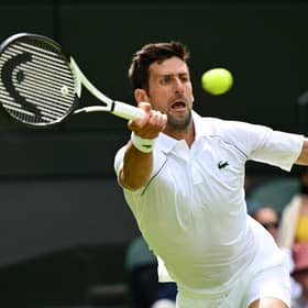 Thou shalt not pass me ... Djokovic at his elastic best.