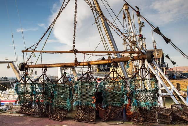 The Scottish Government has announced an 11-week ban on trawling, dredging and creel fishing in the Clyde to help boost the recovery of dwindling cod populations