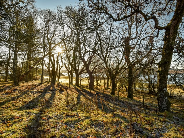 Sitting in 13.9 acres the property has direct access to the waters of Loch Snizort. Pic: M Dickie