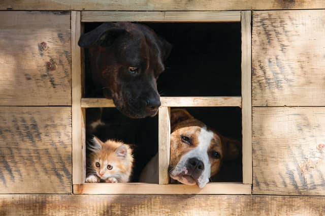Picture: Rita_Kochmarjova/Shutterstock
