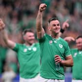 Johnny Sexton celebrates Ireland's crucial 13-8 win over South Africa.