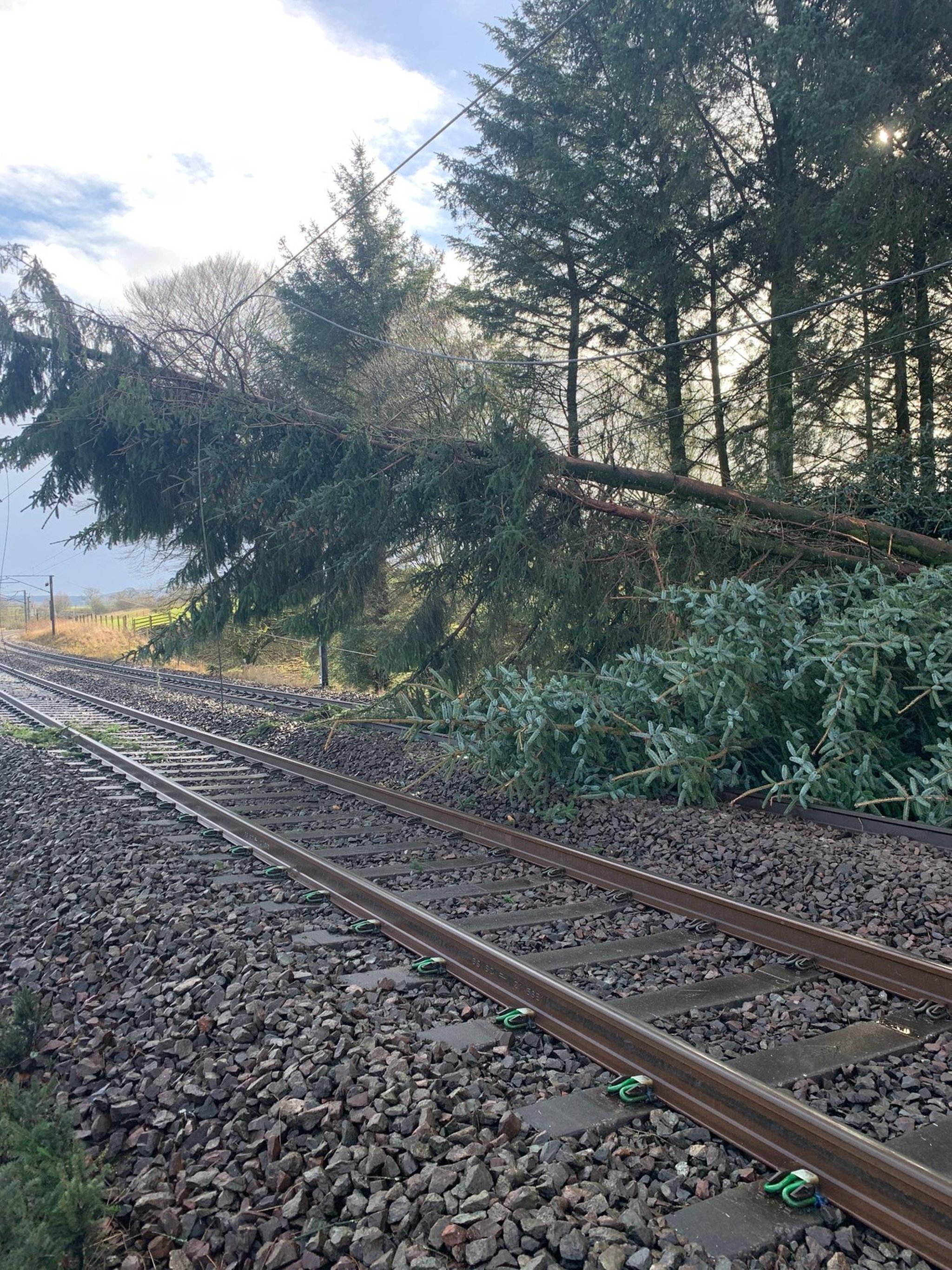 West Coast Mainline railway closed after trees fall on overhead powerlines