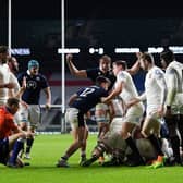 Jonny Gray celebrates as Duhan van der Merwe scores Scotland's first-half try at Twickenham. Picture: Mike Hewitt/Getty Images