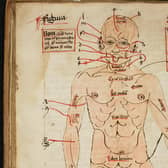 Diagram of the human body, showing the veins to be opened for blood-letting, in the 16th century. Curious medieval cures, including a treatment for gout that involved baking an owl then grinding it into a powder, are to be shared with the public online by Cambridge University Library.