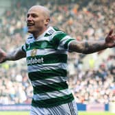 Aaron Mooy has developed into a key player for Celtic despite a low-key summer arrival. (Photo by Craig Foy / SNS Group)