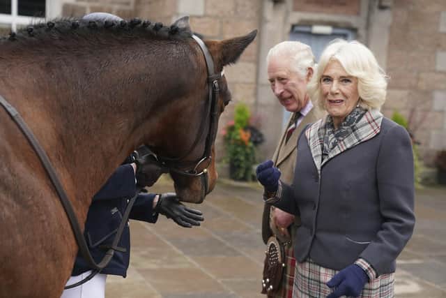 Queen Consort feeds carrots to horses as she and King Charles III attend a reception to thank the community of Aberdeenshire