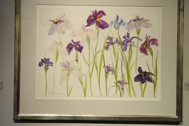 Elizabeth Blackadder was particularly famed for her exquisite and finely detailed paintings of flowers - such as her Purple Irises