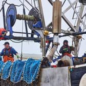 Fishermen in Shetland are starring in a new television commercial for the Marine Stewardship Council, which runs an ecolabelling scheme to help consumers choose sustainable fish and seafood. Picture: David Loftus