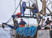 Fishermen in Shetland are starring in a new television commercial for the Marine Stewardship Council, which runs an ecolabelling scheme to help consumers choose sustainable fish and seafood. Picture: David Loftus