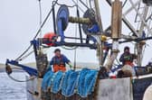 Fishermen in Shetland are starring in a new television commercial for the Marine Stewardship Council, which runs an ecolabelling scheme to help consumers choose sustainable fish and seafood. Picture: David Loftus