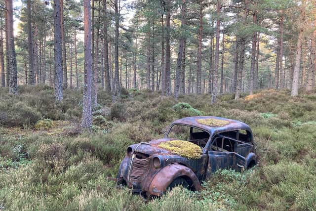 The car was spotted in a forest in the Cairngorms National Park picture: Simon Eaves