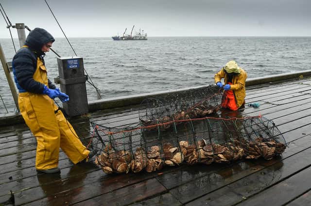 Many smaller Scottish firms are struggling to survive