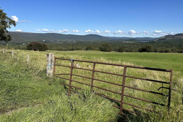 Scottish farmland makes up large chunk of overall land sales in Scotland in the last three years (pic: Caron Munro)