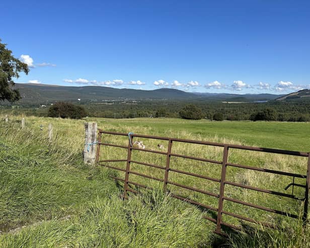 Scottish farmland makes up large chunk of overall land sales in Scotland in the last three years (pic: Caron Munro)