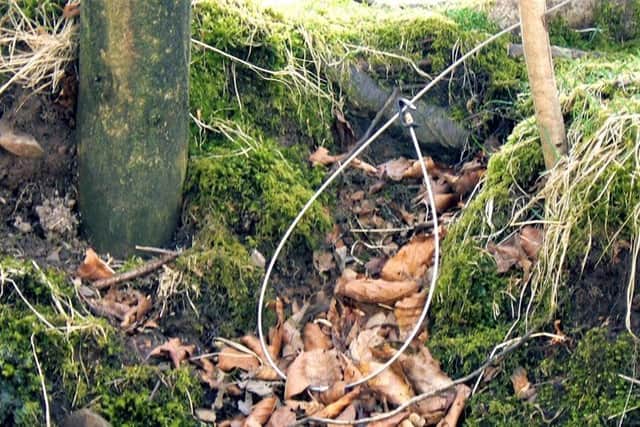 Scotland is one step closer to seeing a full ban on snares and HRCs (pic: Stock image)