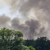 The double blow of heat waves and droughts exacerbated by climate change are making wildfires more frequent, destructive and harder to fight. (Robert Michael/dpa via AP)