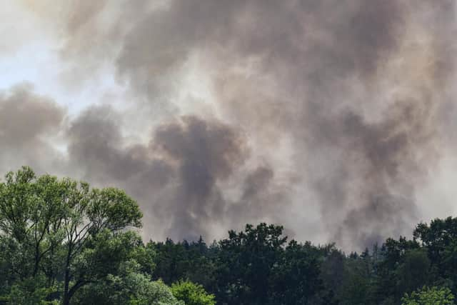 The double blow of heat waves and droughts exacerbated by climate change are making wildfires more frequent, destructive and harder to fight. (Robert Michael/dpa via AP)