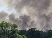 The double blow of heat waves and droughts exacerbated by climate change are making wildfires more frequent, destructive and harder to fight. (Robert Michael/dpa via AP)