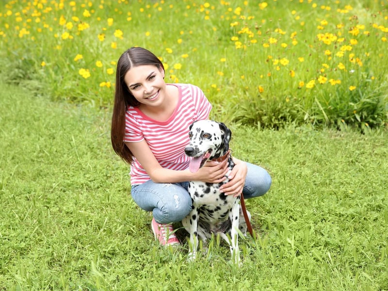 Dalmatians' spots cover their entire body and beyond - they even have spots on the inside of their mouths.