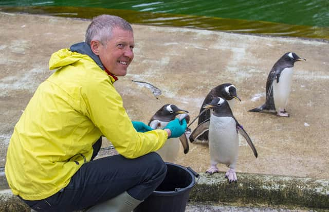 Willie Rennie meets some penguins at Edinburgh Zoo (Picture: Lisa Ferguson)